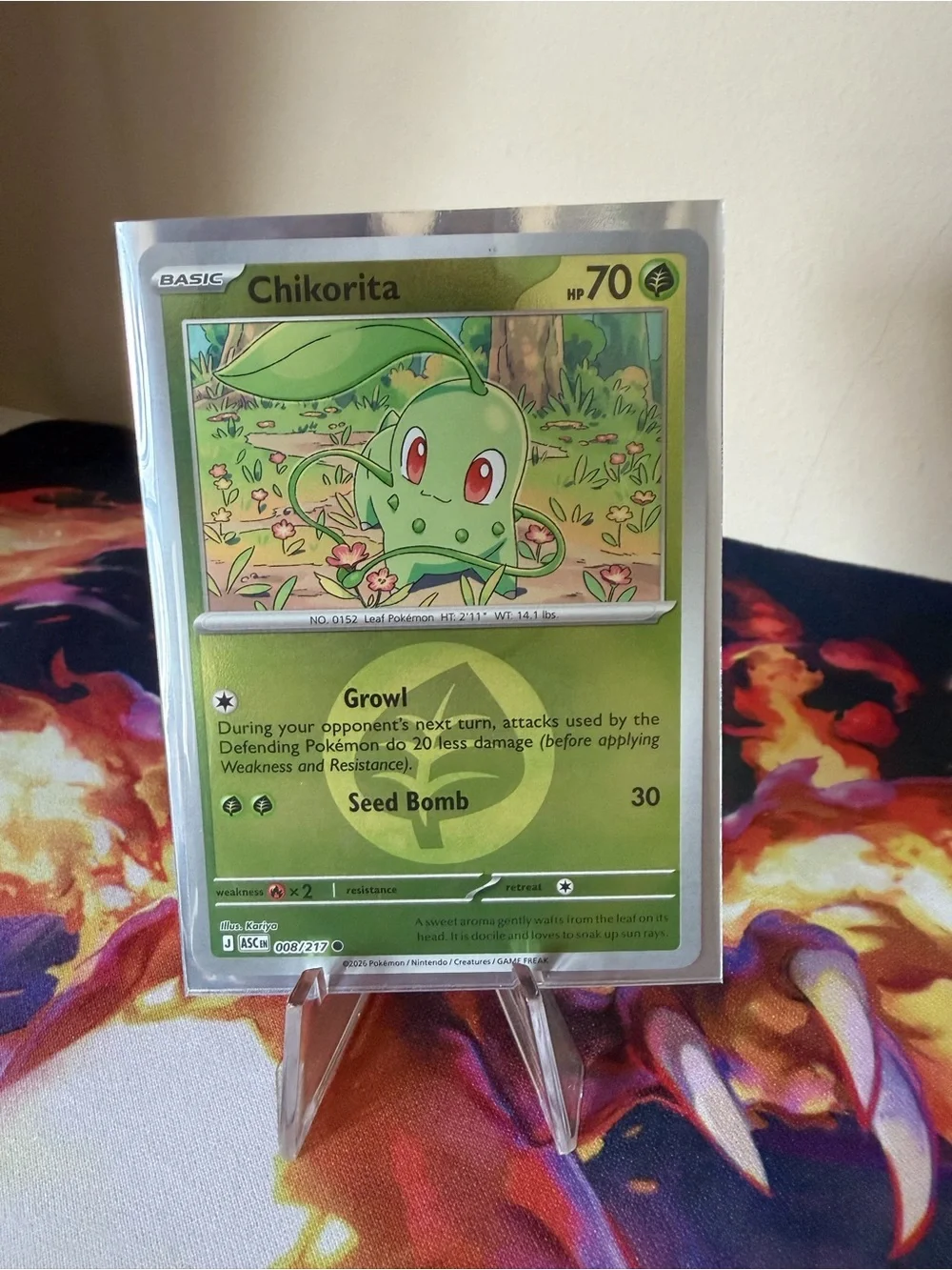Pokémon Ascended Heroes Card Lot - 9 Assorted Holo and ex bundle